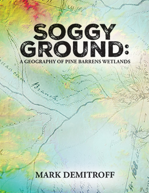 Cover of Soggy Ground