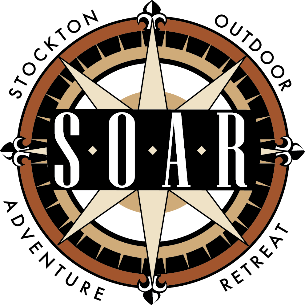 3d Soar Logo