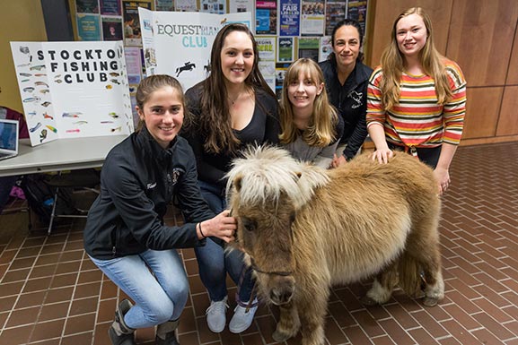 five girls with mini horse 