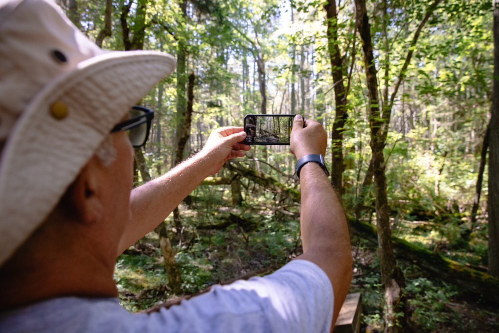 man looking through phone