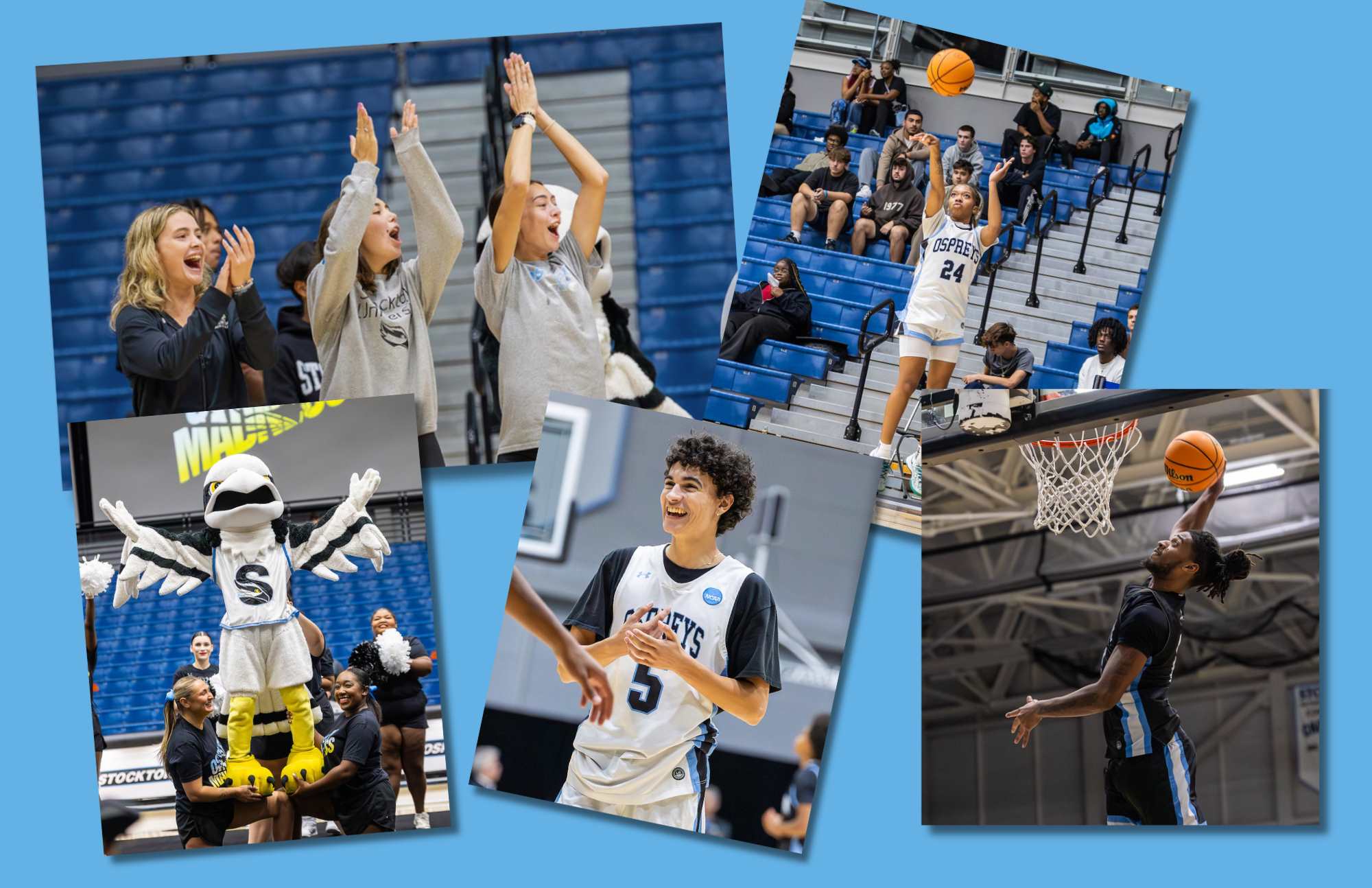 Osprey Madness basketball night Osprey Madness graphic with photos from the night