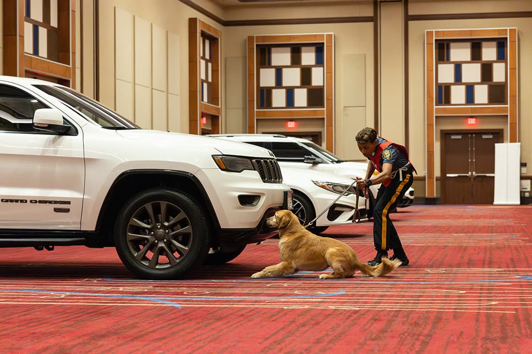 Stockton Police Chief Tracy Stuart and her K-9 partner, Freya