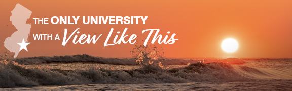 Waves crashing on the shore at an orange sunset, with the tagline "The Only University with a View Like This"