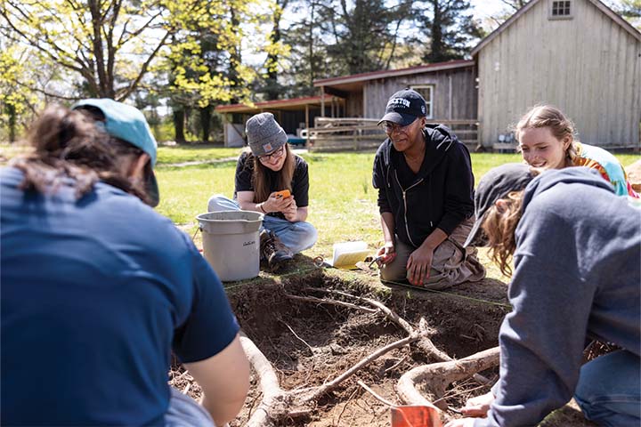 A group of students around a dig site exposing tree roots with a shed in the background