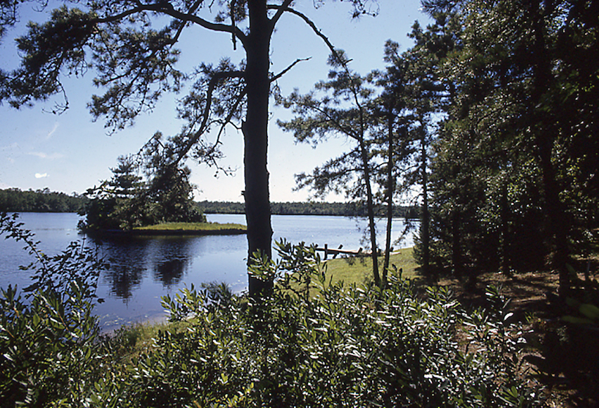 The Island. This photograph dates from August, 1971. Notice the intact dock that the students may have used to enter the water.