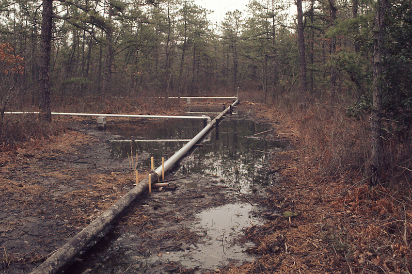 The Sprayfield. Photograph 2 of the sprayfield in use in March, 1973.