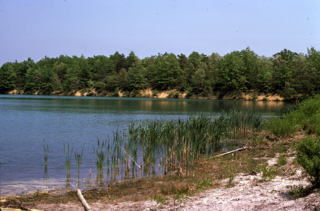 Figure 7. Lake Pam